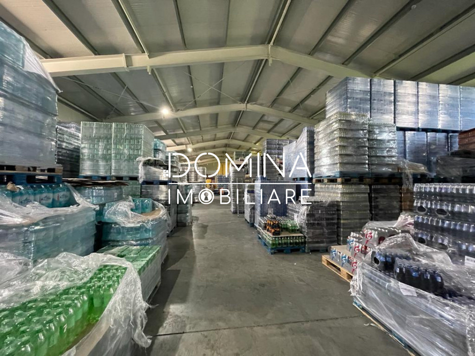 Închiriere hală industrială, situată în Târgu Jiu, strada Narciselor