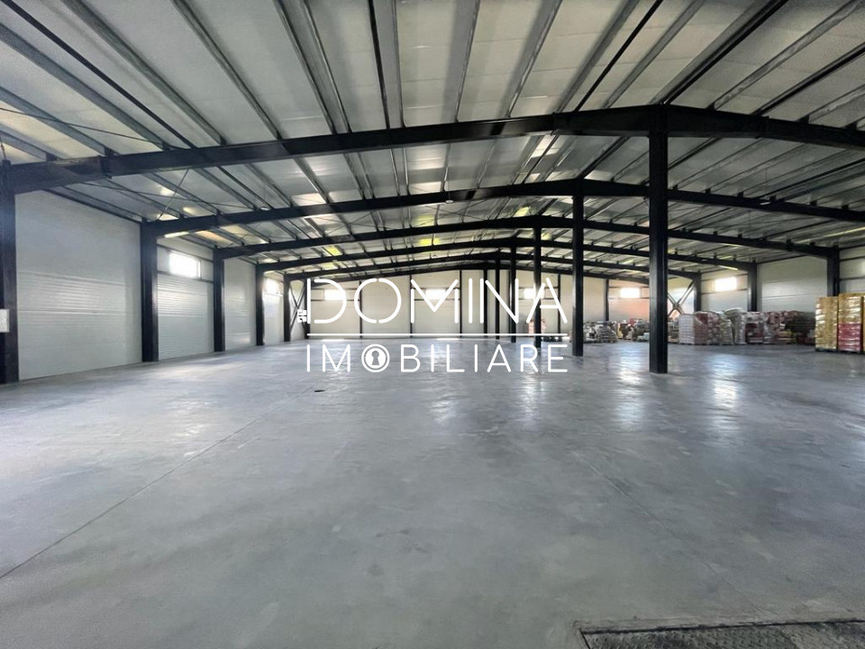 Închiriere hală industrială, situată în Târgu Jiu, strada Narciselor