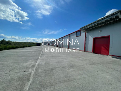 Închiriere hală industrială, situată în Târgu Jiu, strada Narciselor