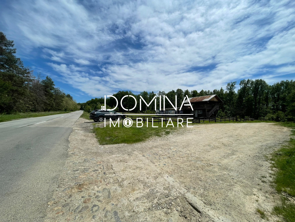 Închiriere teren *oportunitate investiție* situat în Cărbunești-Sat, la DN 67B