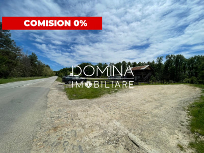 Închiriere teren *oportunitate investiție* situat în Cărbunești-Sat, la DN 67B