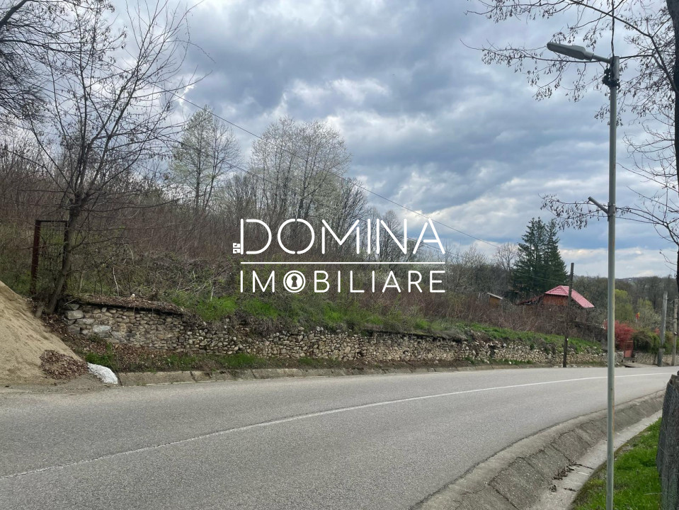 Vânzare teren intravilan - Runcu - oportunitate într-o zonă turistică deosebită