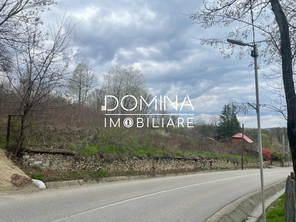 Vânzare teren intravilan - Runcu - oportunitate într-o zonă turistică deosebită