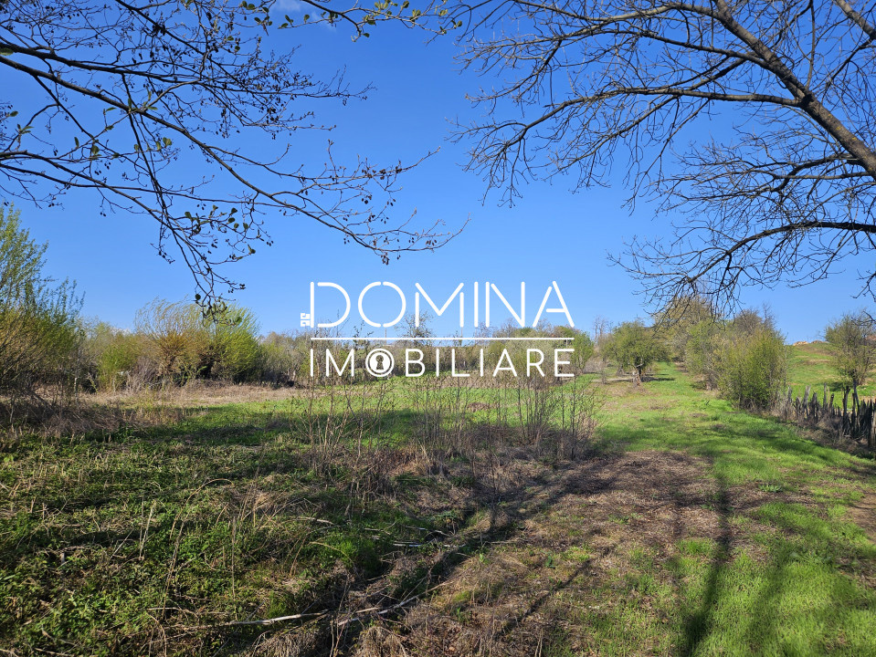 Vânzare teren 4606 mp - Sat Bâlta - Runcu - la aproximativ 20 km de Târgu Jiu