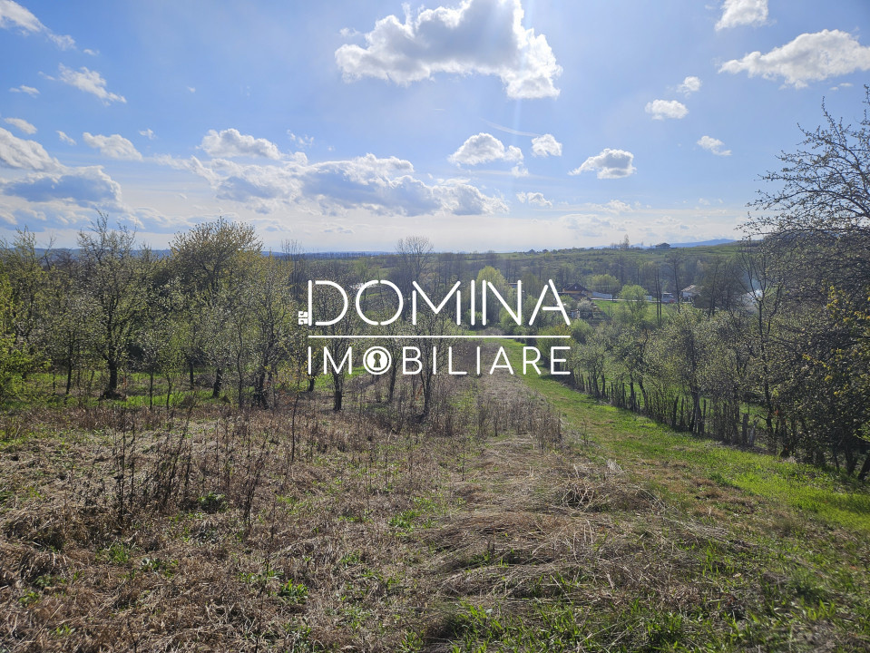 Vânzare teren 4606 mp - Sat Bâlta - Runcu - la aproximativ 20 km de Târgu Jiu