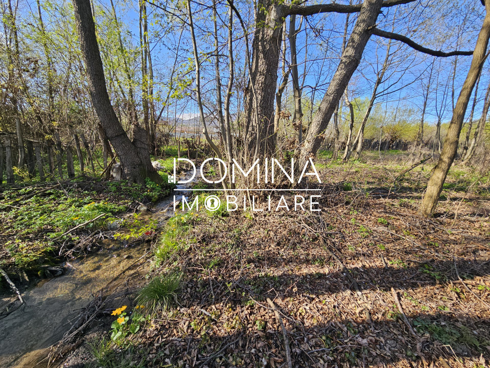 Vânzare teren 4606 mp - Sat Bâlta - Runcu - la aproximativ 20 km de Târgu Jiu