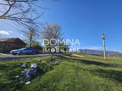 Vânzare teren 4606 mp - Sat Bâlta - Runcu - la aproximativ 20 km de Târgu Jiu
