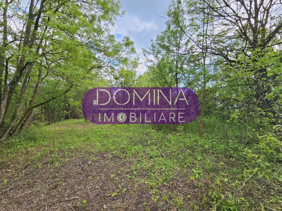 Vânzare teren 2242 mp - Bălănești - la o distanță de 12 km de Târgu Jiu