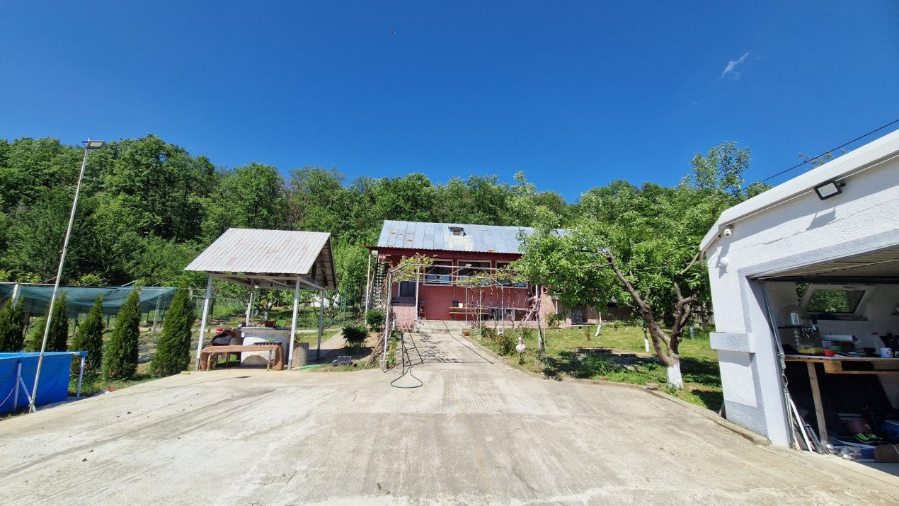 Casă cu teren generos, în mijlocul naturii – Barza, Dănești