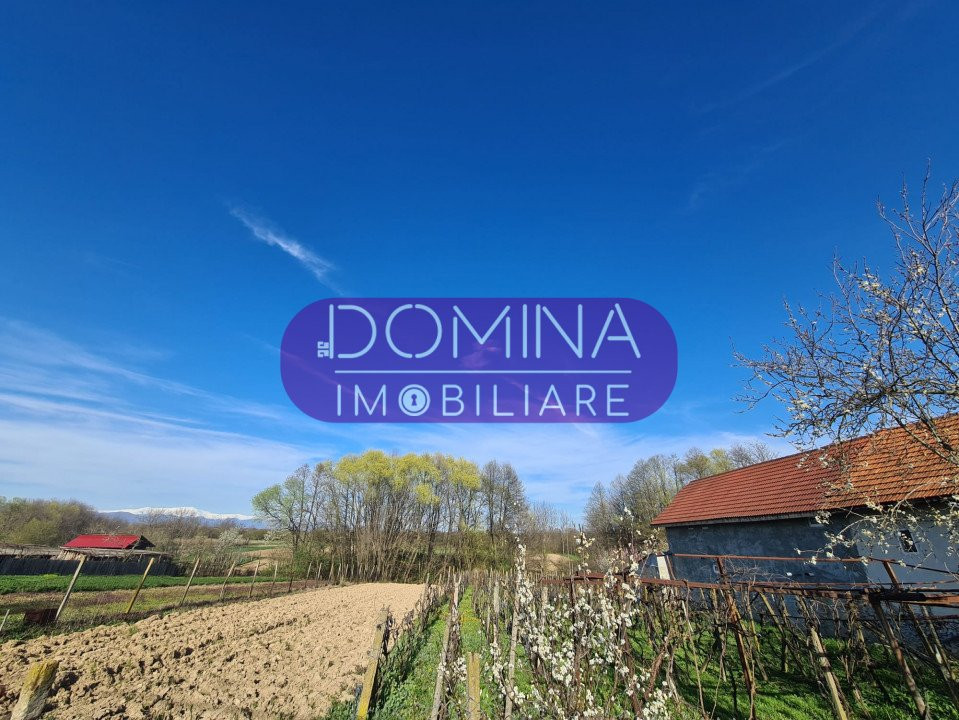 Vânzare teren la 10 km de Târgu Jiu, sat Rasoviţa, comuna Lelești