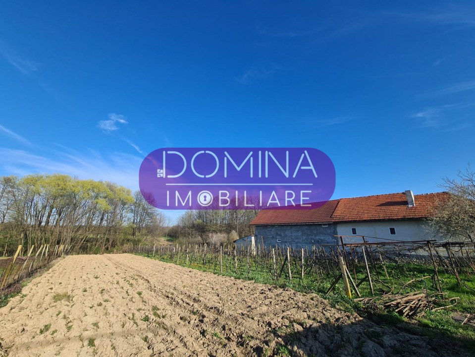 Vânzare teren la 10 km de Târgu Jiu, sat Rasoviţa, comuna Lelești