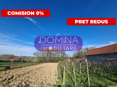 Vânzare teren la 10 km de Târgu Jiu, sat Rasoviţa, comuna Lelești