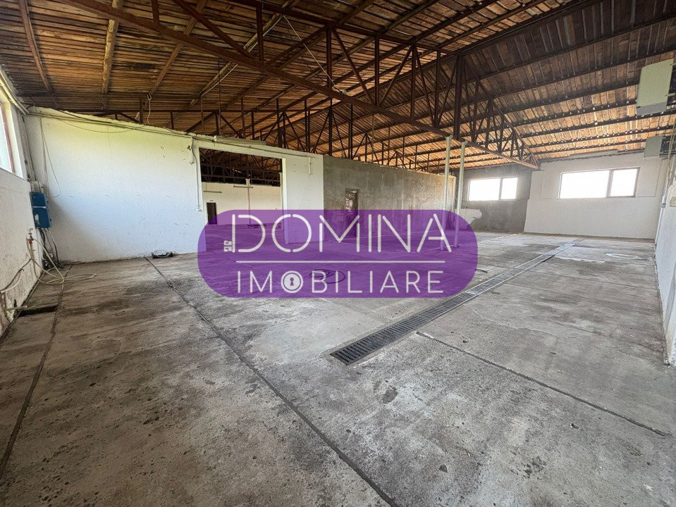 Vânzare complex industrial *hală 682 mp + teren 2,5 ha* - Tetila 