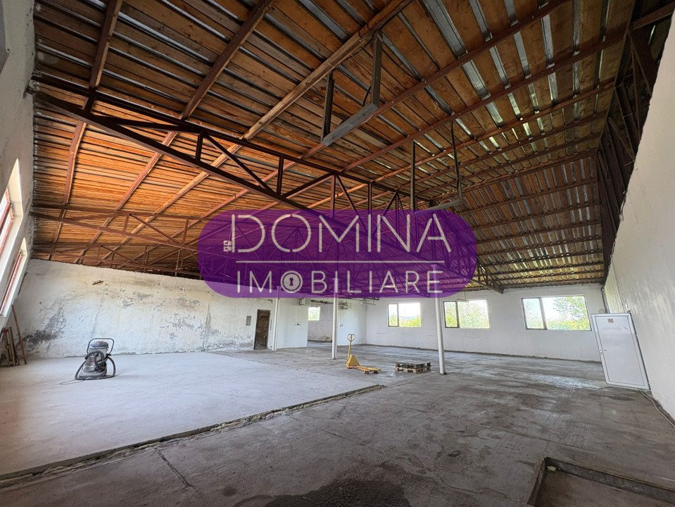 Vânzare complex industrial *hală 682 mp + teren 2,5 ha* - Tetila 