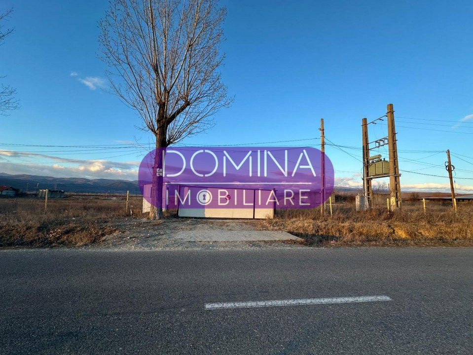 Vânzare complex industrial *hală 682 mp + teren 2,5 ha* - Tetila 