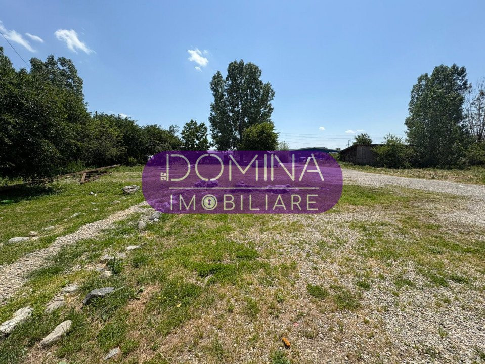 Vânzare complex industrial *hală 682 mp + teren 2,5 ha* - Tetila 
