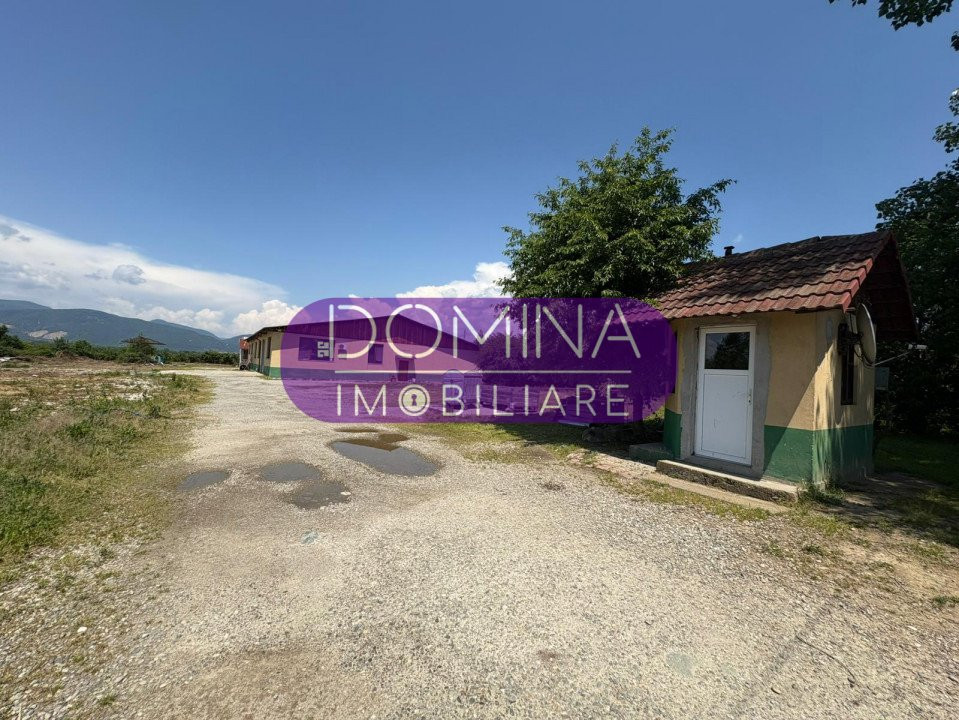 Vânzare complex industrial *hală 682 mp + teren 2,5 ha* - Tetila 