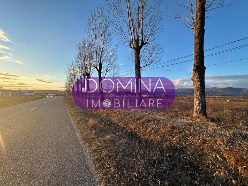 Vânzare teren intravilan 2,5 ha - infrastructură industrială și hală funcțională