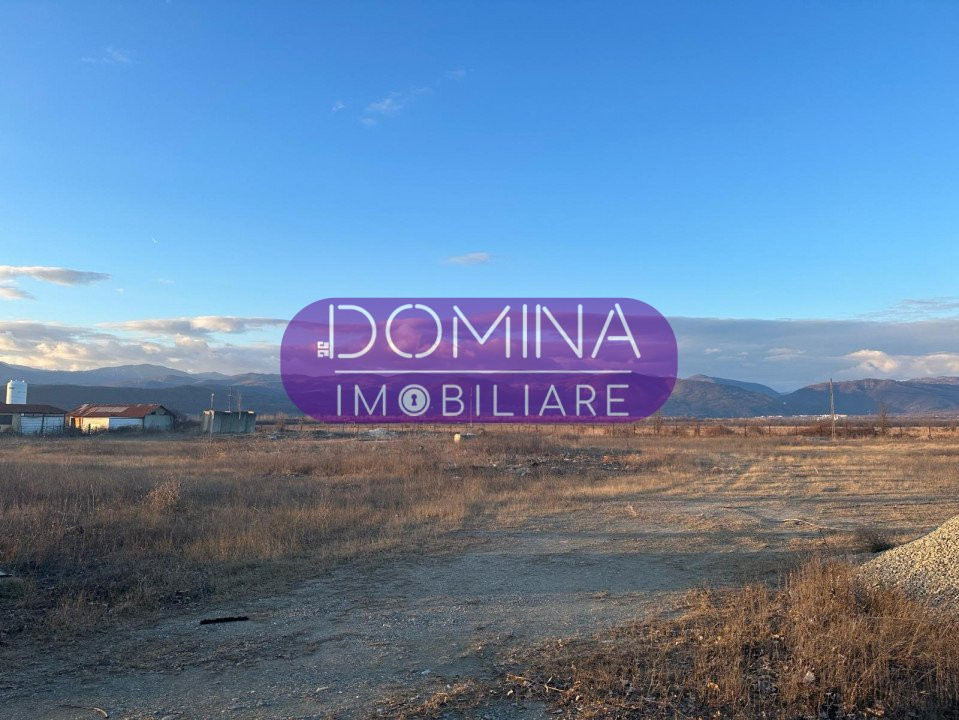 Vânzare teren intravilan 2,5 ha - infrastructură industrială și hală funcțională