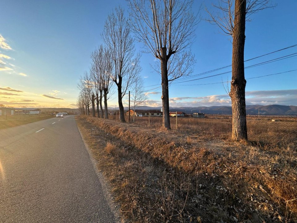 Vânzare teren intravilan 2,5 ha - infrastructură industrială și hală funcțională