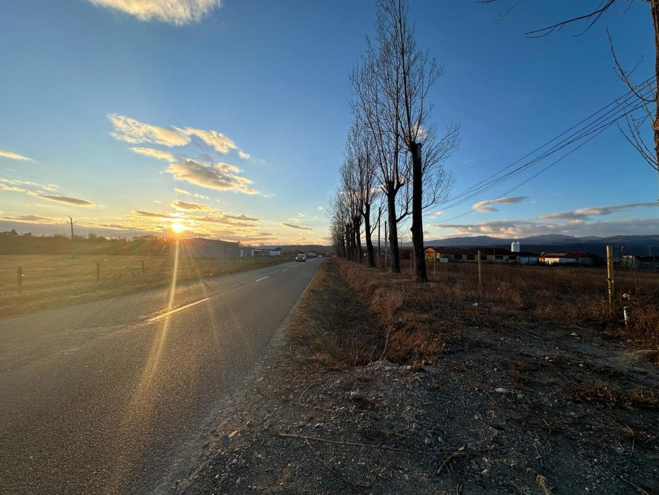 Vânzare teren intravilan 2,5 ha - infrastructură industrială și hală funcțională