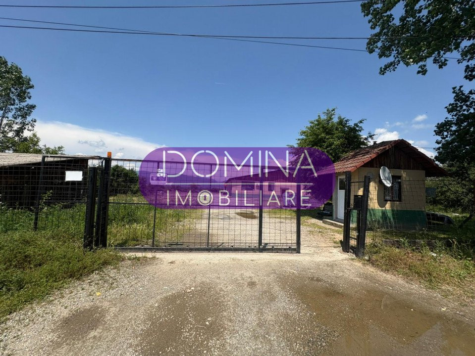 Închiriere spațiu industrial echipat – hală și teren – Loc. Tetila