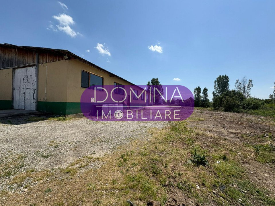 Închiriere spațiu industrial echipat – hală și teren – Loc. Tetila