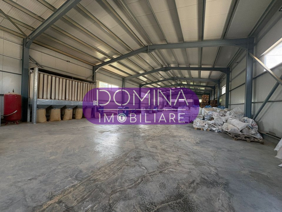 Închiriere complex industrial multifuncțional – poziție strategică, Târgu Jiu 