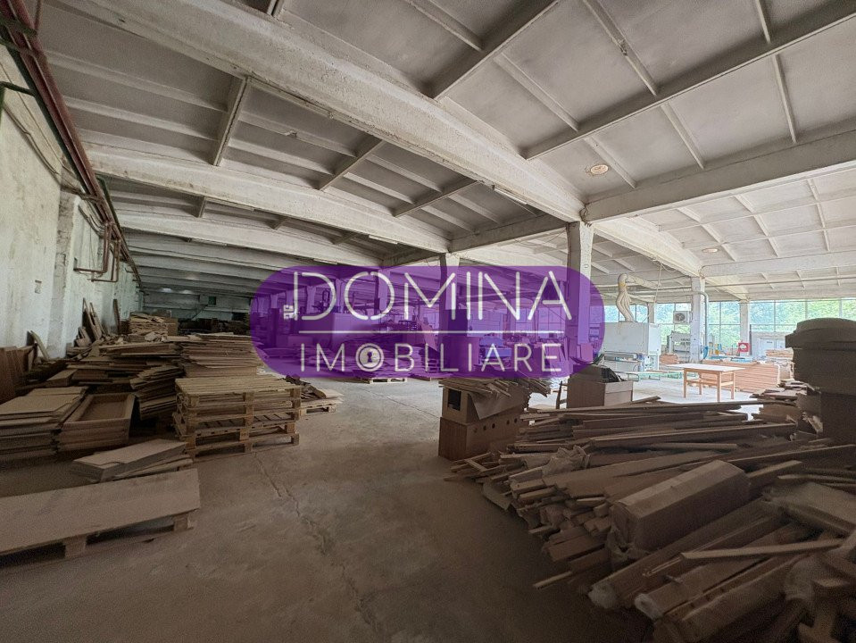 Închiriere complex industrial multifuncțional – poziție strategică, Târgu Jiu 