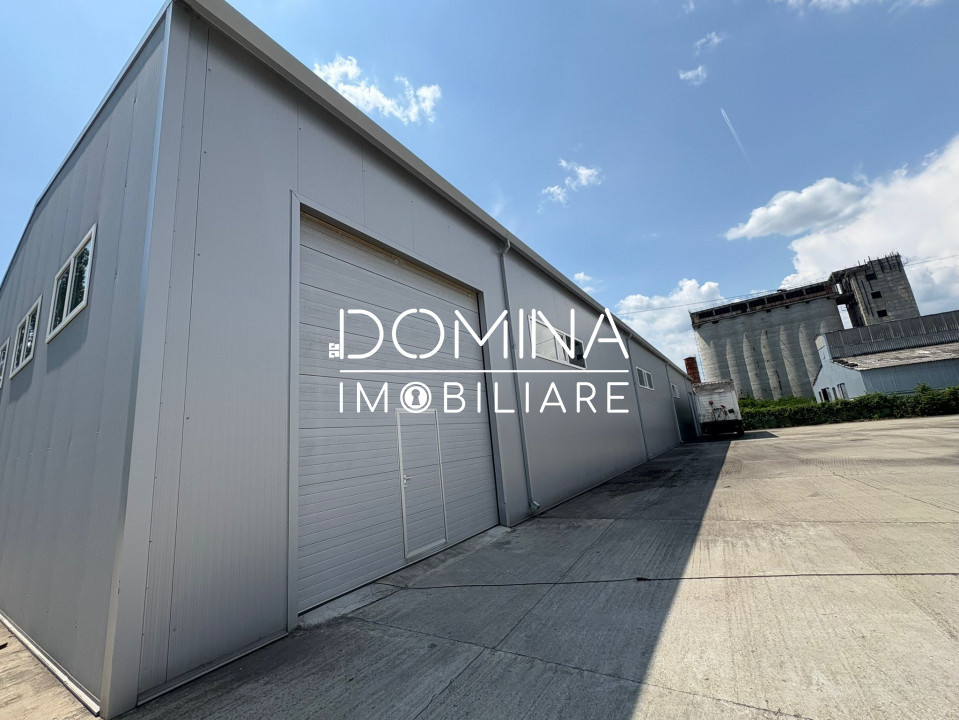 Închiriere complex industrial multifuncțional – poziție strategică, Târgu Jiu 