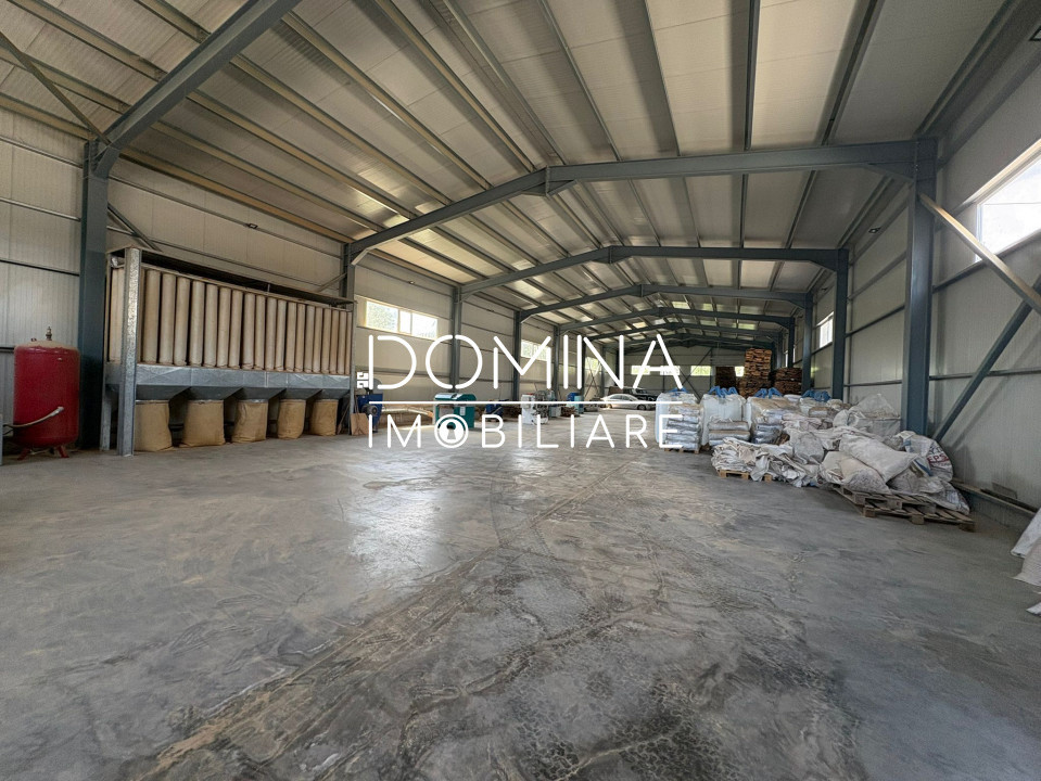 Închiriere complex industrial multifuncțional – poziție strategică, Târgu Jiu 