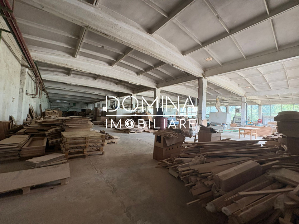 Închiriere complex industrial multifuncțional – poziție strategică, Târgu Jiu 