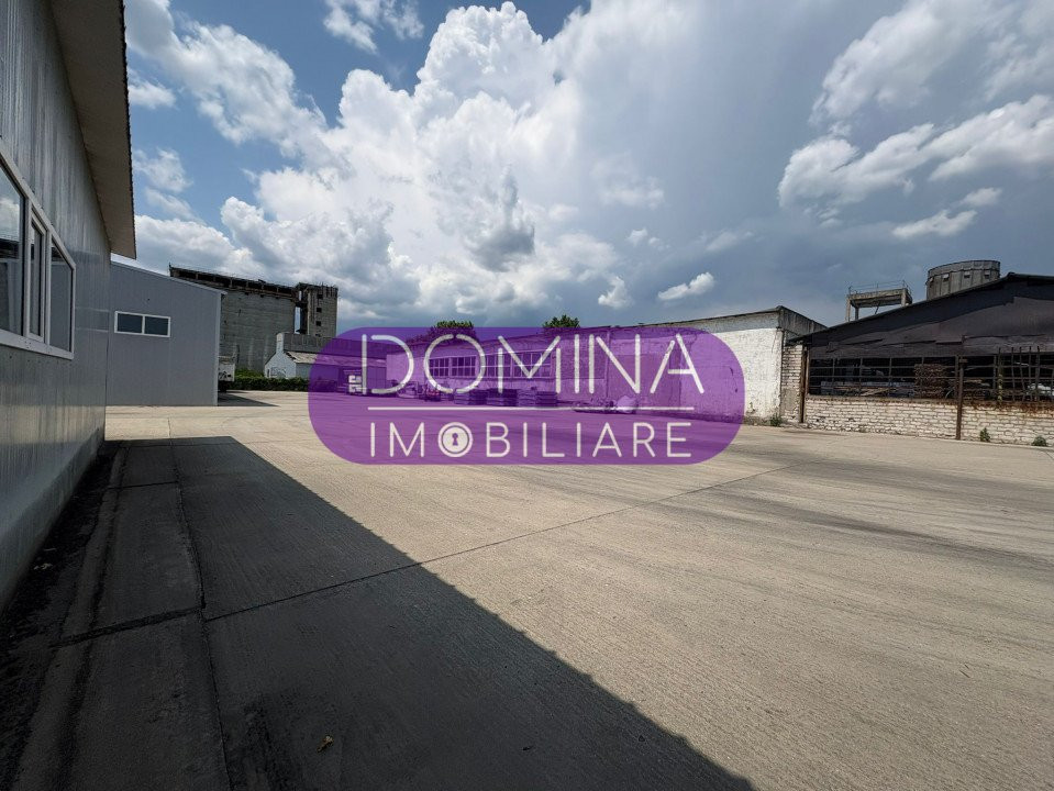 Vânzare complex industrial multifuncțional – poziție strategică, Târgu Jiu 