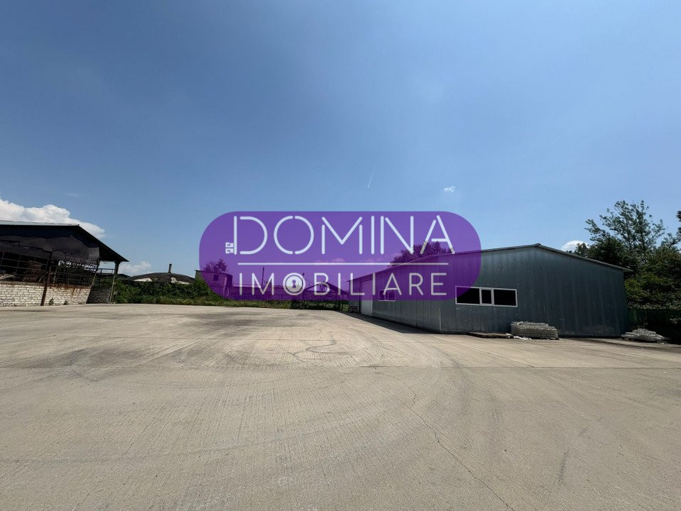 Vânzare complex industrial multifuncțional – poziție strategică, Târgu Jiu 