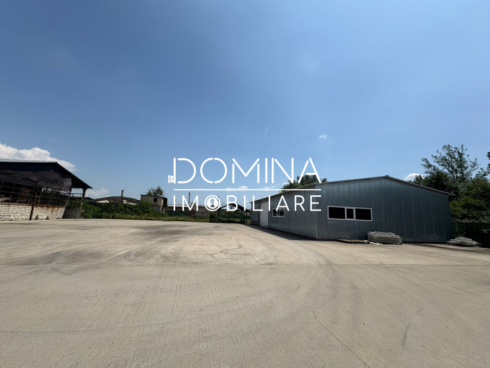 Vânzare complex industrial multifuncțional – poziție strategică, Târgu Jiu 