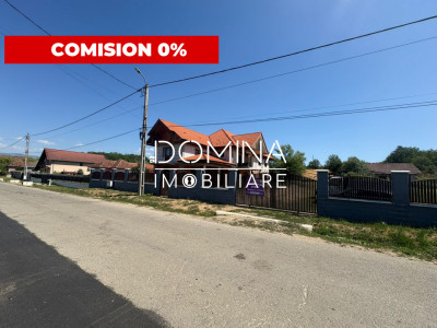 Vânzare casă P+1 *teren generos* - Sat Rasova - Bălești