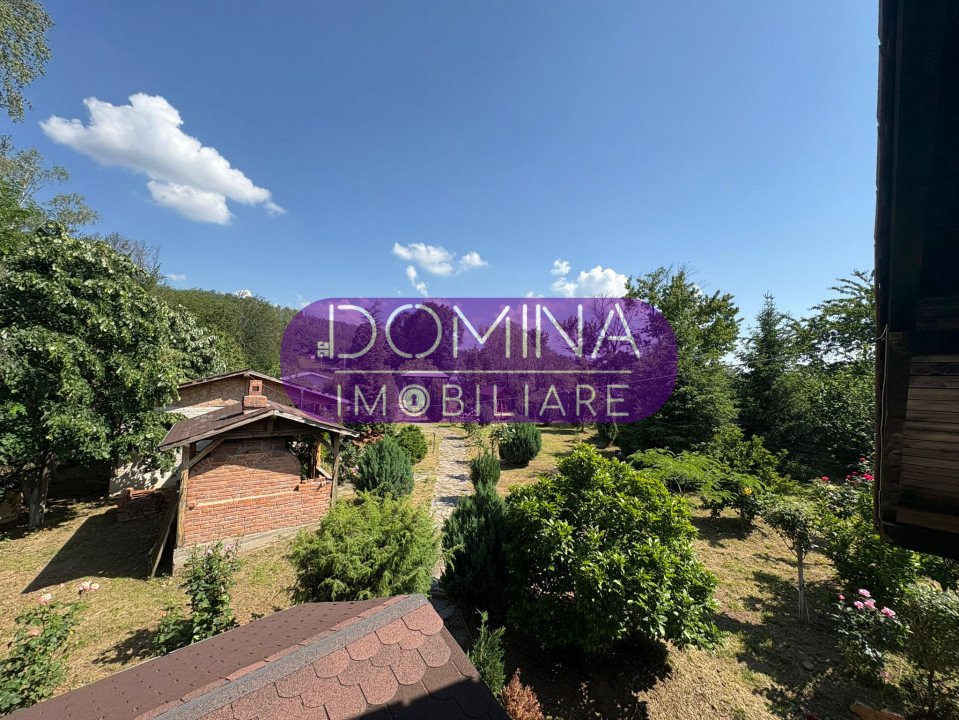 *Domeniu* cu potențial turistic - casă de vis, livadă și vie - Bumbești-Jiu