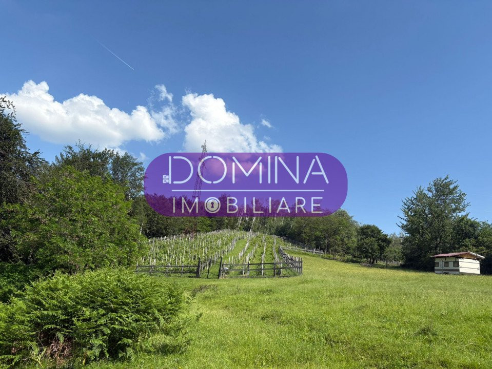 *Domeniu* cu potențial turistic - casă de vis, livadă și vie - Bumbești-Jiu