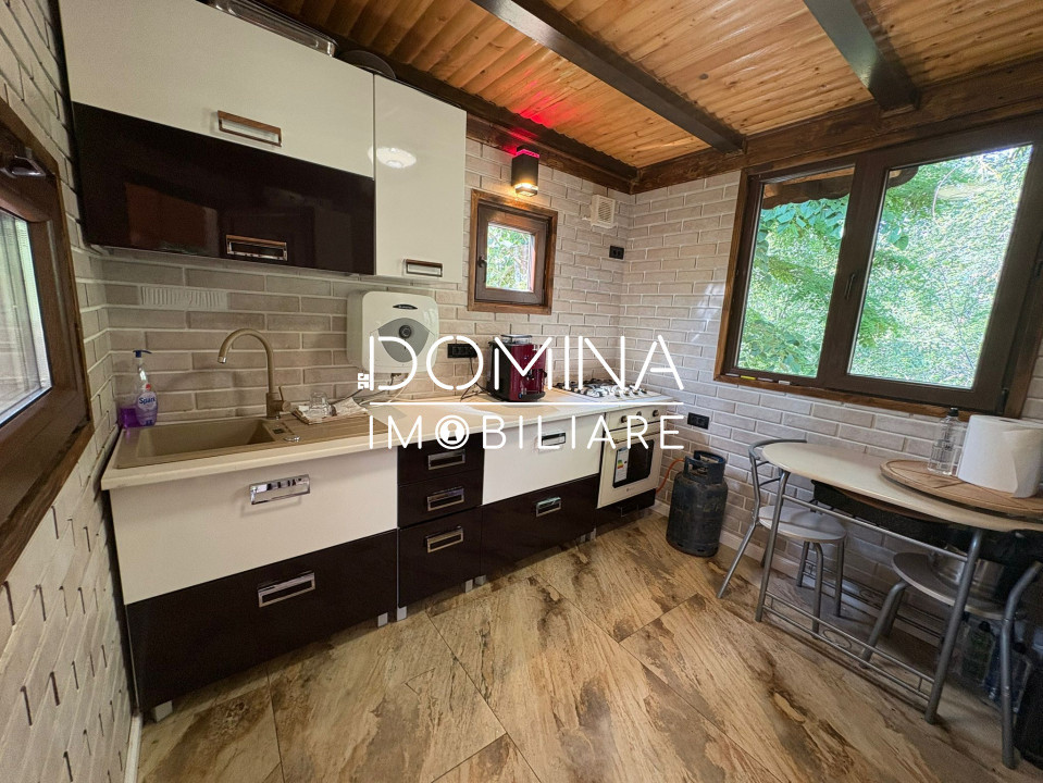 *Domeniu* cu potențial turistic - casă de vis, livadă și vie - Bumbești-Jiu