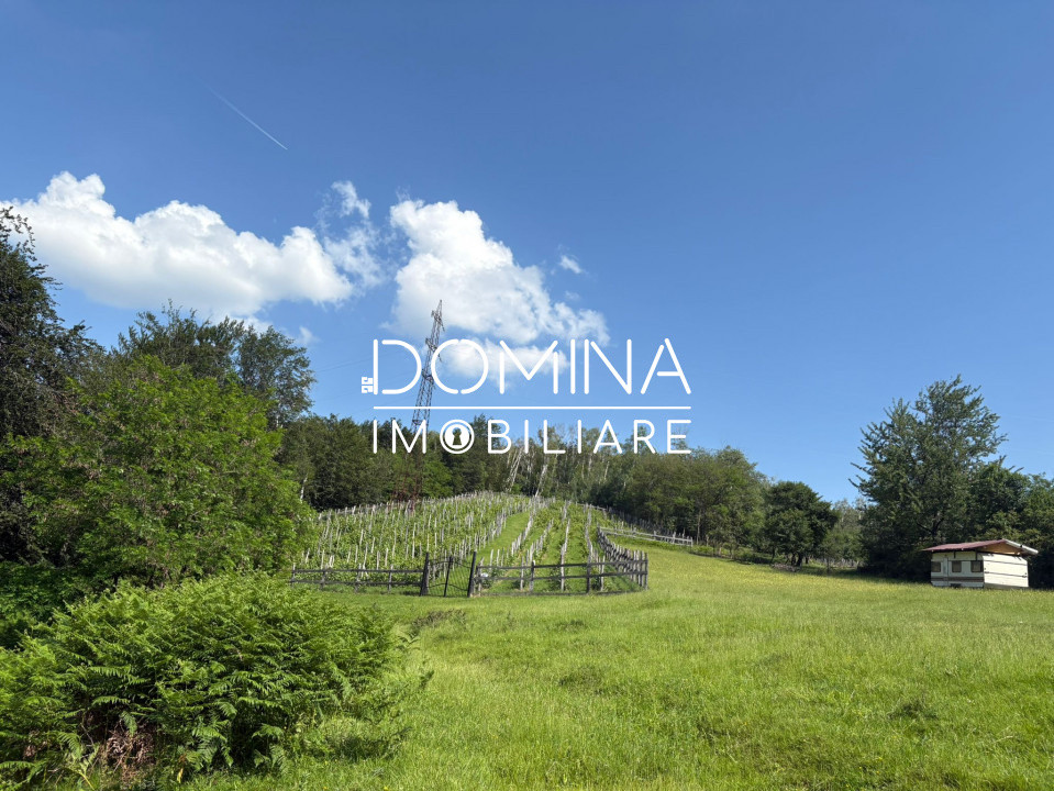 *Domeniu* cu potențial turistic - casă de vis, livadă și vie - Bumbești-Jiu