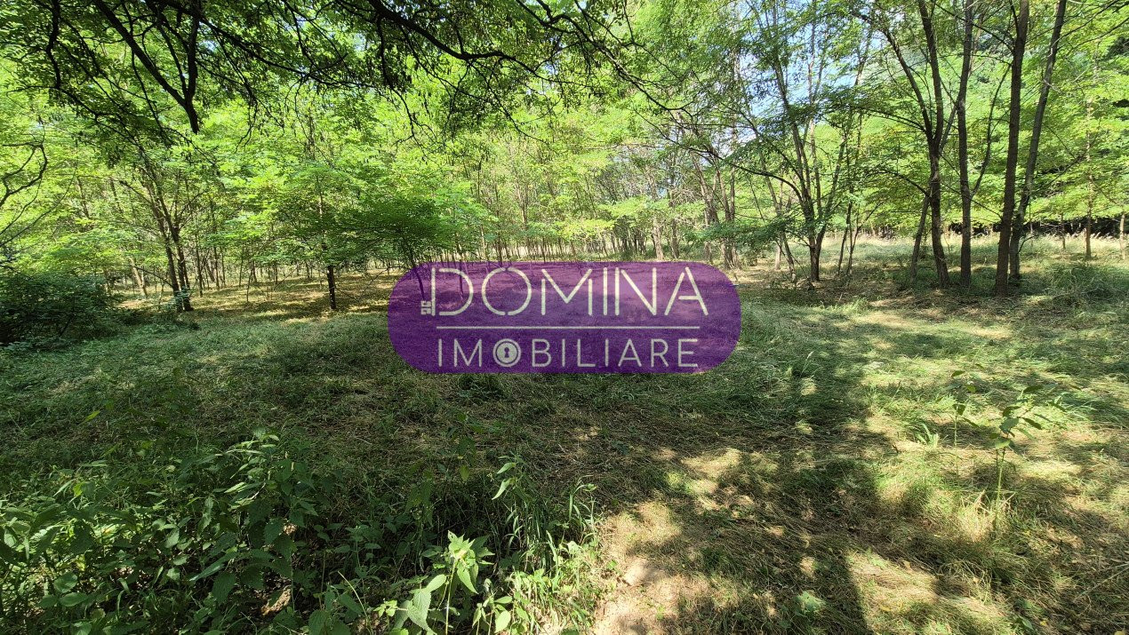 Vânzare casă bătrânească și teren în apropiere de complex turistic – Mușetești