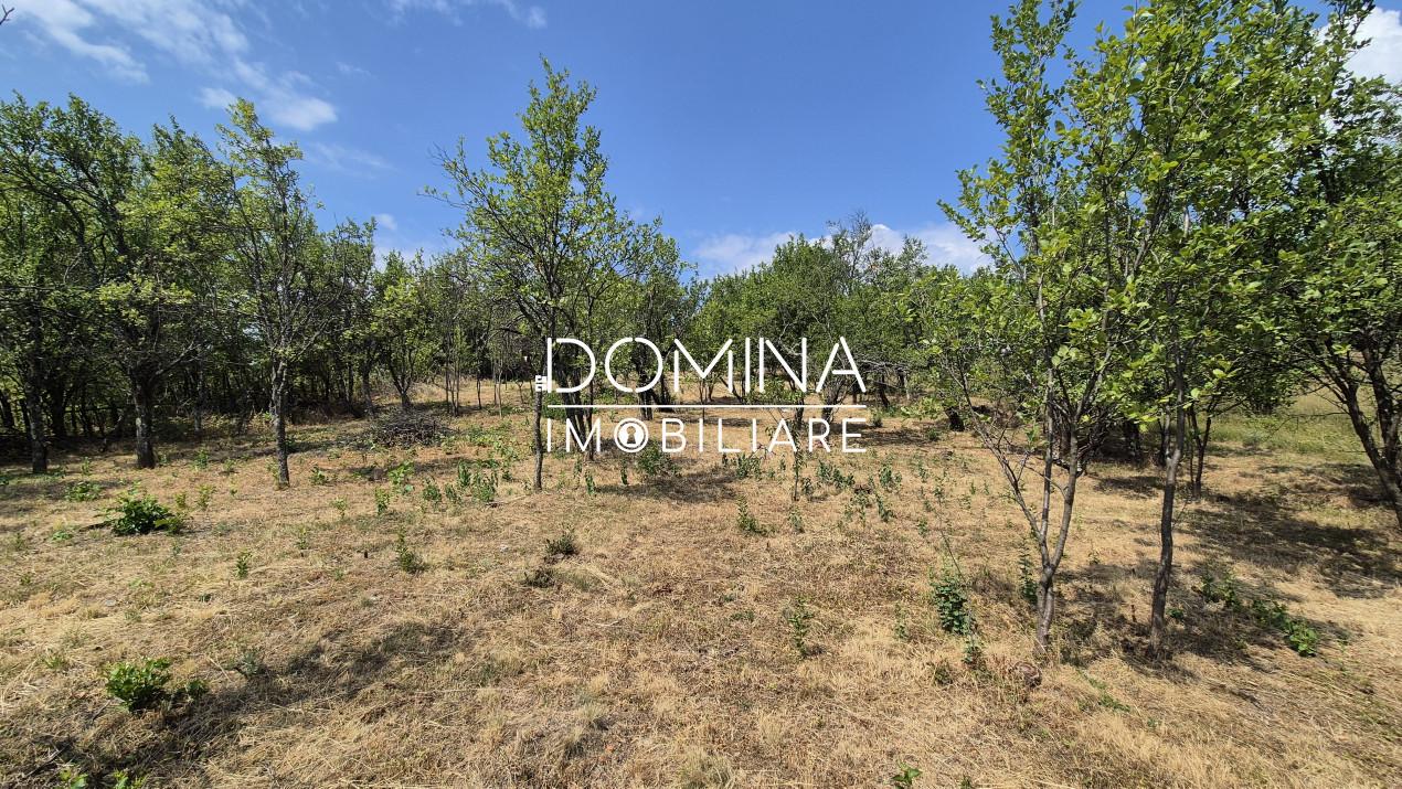 Vânzare casă bătrânească și teren în apropiere de complex turistic – Mușetești