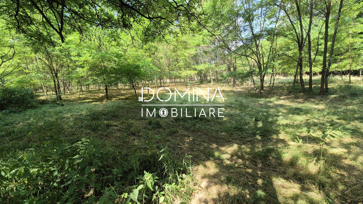 Vânzare casă bătrânească și teren în apropiere de complex turistic – Mușetești