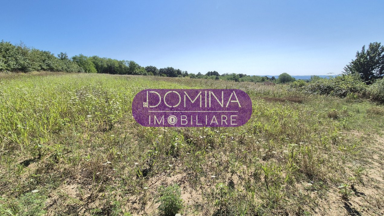 Teren cu potențial de investiție, 7.056 mp, situat în comuna Scoarța