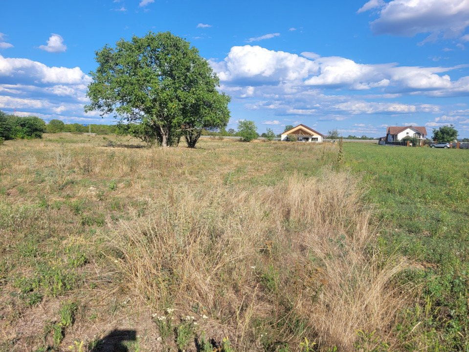Vânzare teren intravilan cu PUZ, situat în Târgu-Jiu, localitatea Slobozia