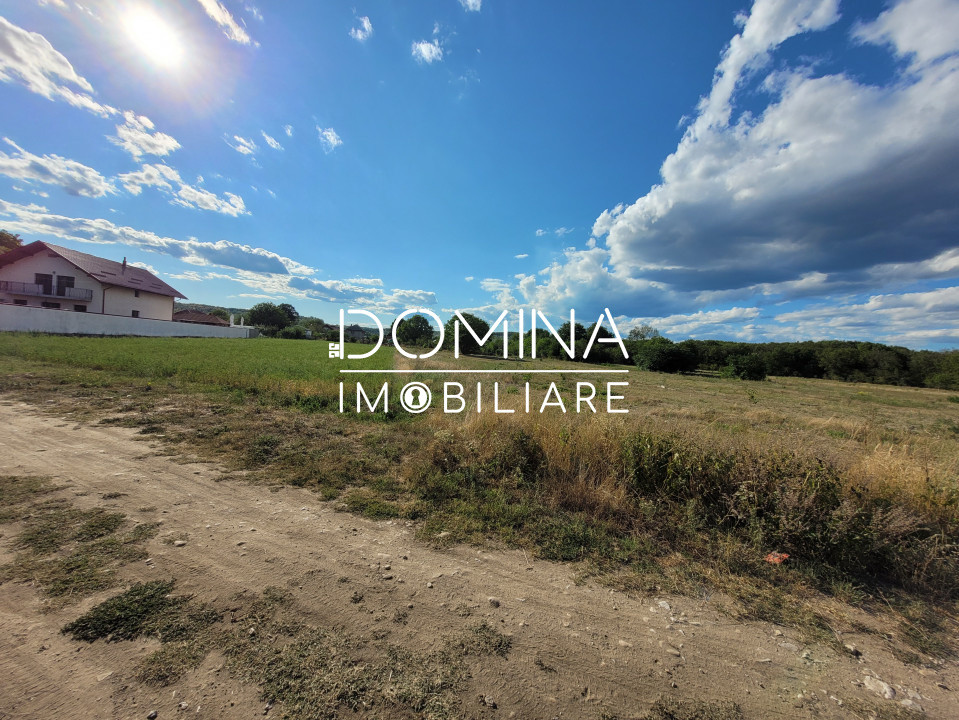 Vânzare teren intravilan cu PUZ, situat în Târgu-Jiu, localitatea Slobozia