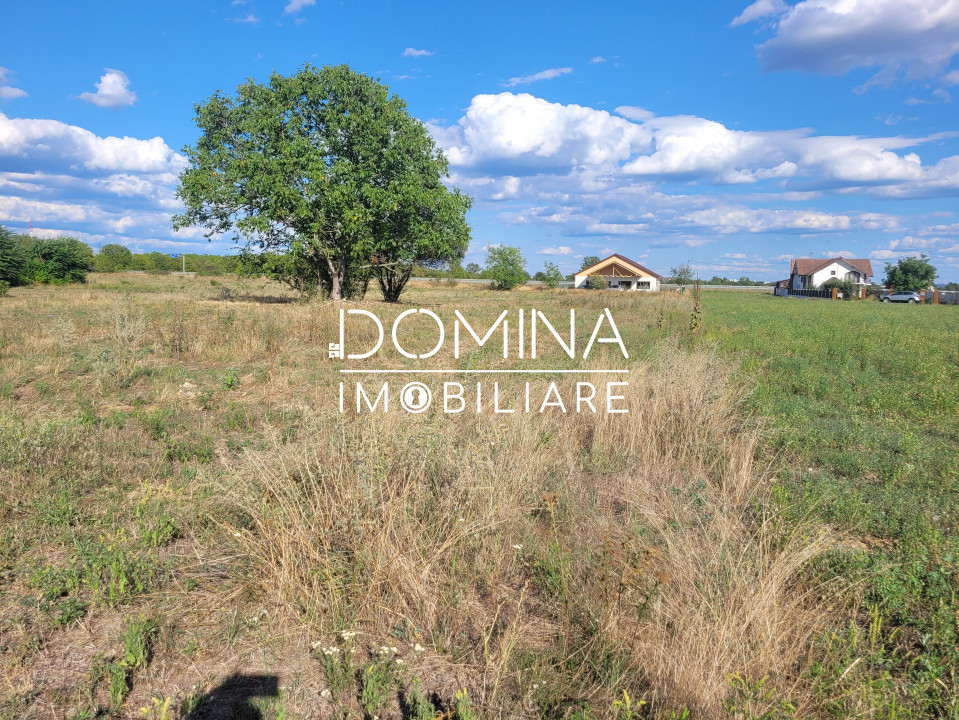 Vânzare teren intravilan cu PUZ, situat în Târgu-Jiu, localitatea Slobozia