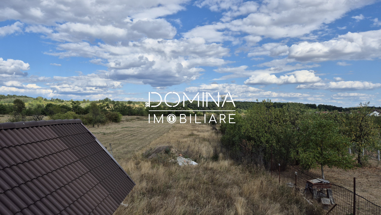 Vânzare casă D+P+M și teren 4334 mp - Runcu, Sat Răchiți