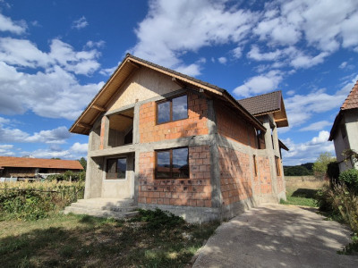 Vânzare casă D+P+M și teren 4334 mp - Runcu, Sat Răchiți