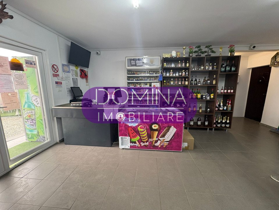 Vânzare spațiu comercial cu teren 1.077 mp, la doar 50 m de DN 67 – Câlnic